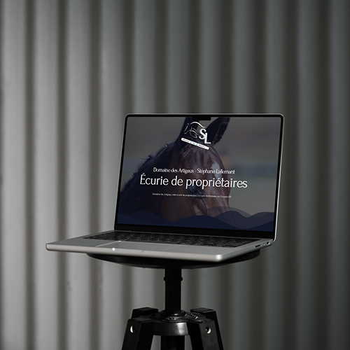 ecurie de proprietaires bordeaux site web hoshiru