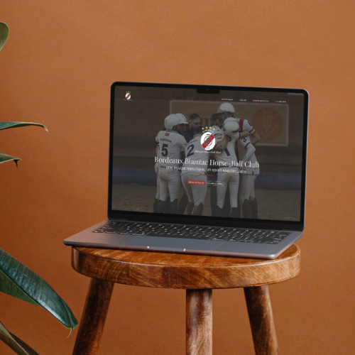 Bordeaux Blanzac Horse Ball Club - Hoshiru